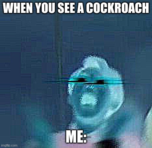 ahh | WHEN YOU SEE A COCKROACH; ME: | image tagged in cockroach | made w/ Imgflip meme maker