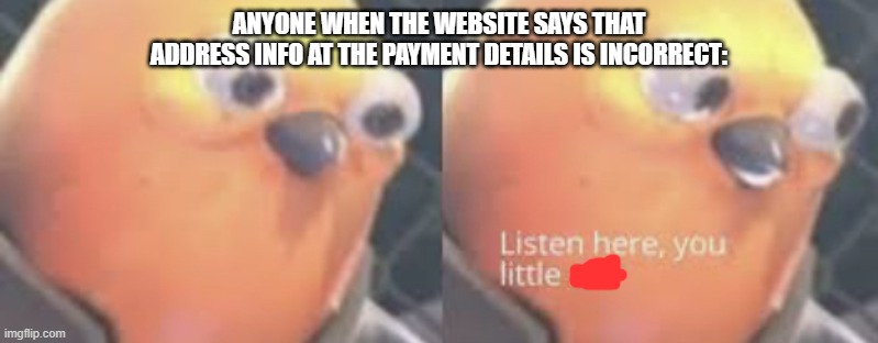 true pain | ANYONE WHEN THE WEBSITE SAYS THAT ADDRESS INFO AT THE PAYMENT DETAILS IS INCORRECT: | image tagged in listen here you little shit bird | made w/ Imgflip meme maker