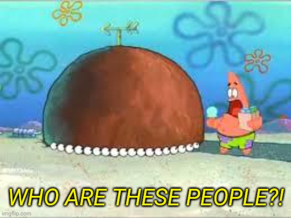 WHO ARE YOU PEOPLE? | WHO ARE THESE PEOPLE?! | image tagged in who are you people | made w/ Imgflip meme maker