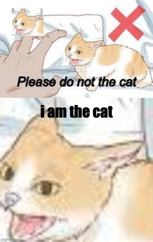 Do NOT the cat | i am the cat | image tagged in please do not the cat | made w/ Imgflip meme maker