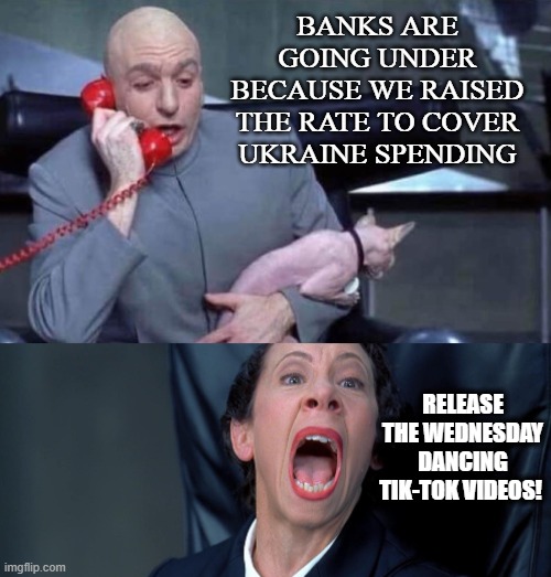 svb crash | BANKS ARE GOING UNDER BECAUSE WE RAISED THE RATE TO COVER UKRAINE SPENDING; RELEASE THE WEDNESDAY DANCING TIK-TOK VIDEOS! | image tagged in dr evil and frau | made w/ Imgflip meme maker