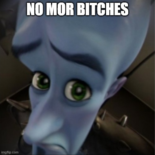 Megamind peeking | NO MOR BITCHES | image tagged in megamind peeking | made w/ Imgflip meme maker