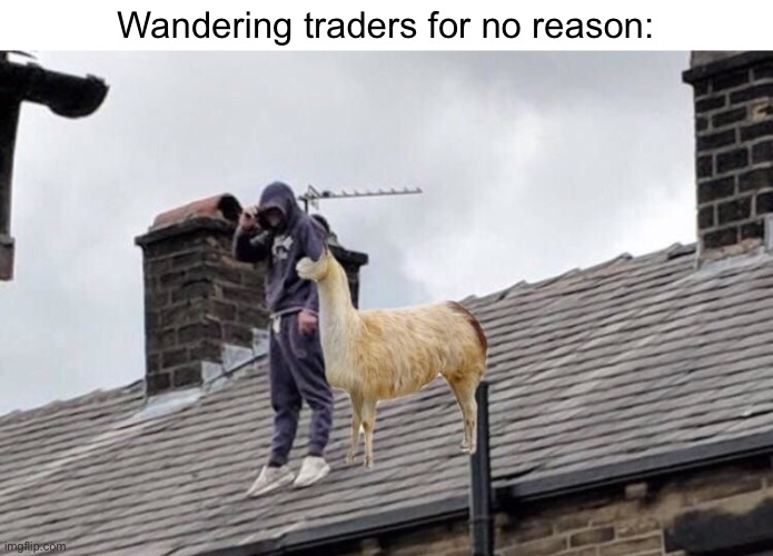 Wandering traders for no reason: | image tagged in minecraft,wandering traders | made w/ Imgflip meme maker