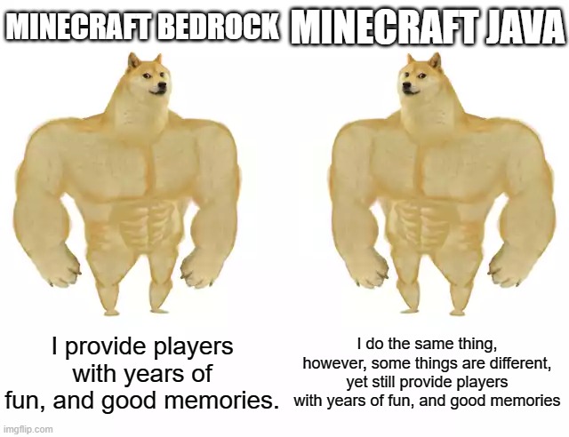 minecraft meme | MINECRAFT BEDROCK; MINECRAFT JAVA; I provide players with years of fun, and good memories. I do the same thing, however, some things are different, yet still provide players with years of fun, and good memories | image tagged in buff doge vs buff doge | made w/ Imgflip meme maker