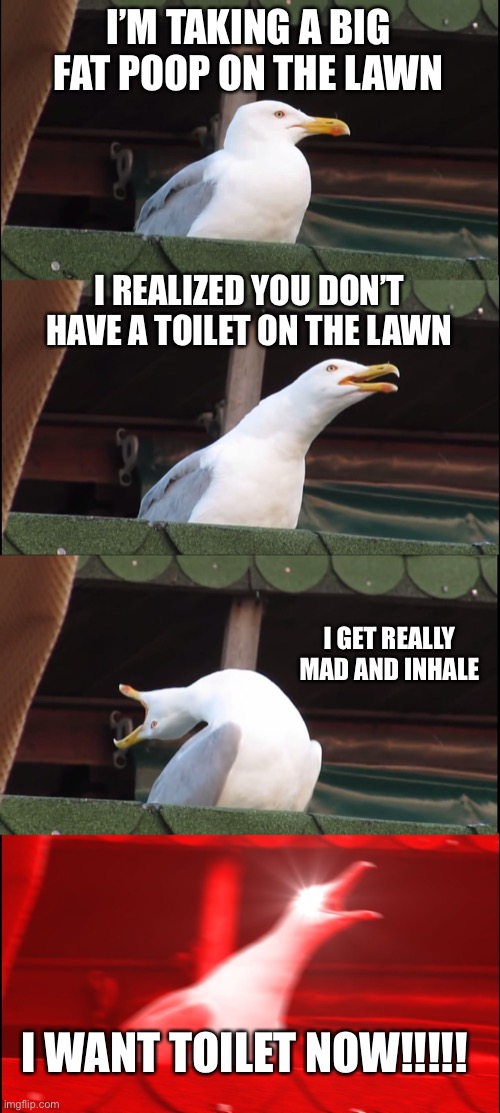 Inhaling Seagull | I’M TAKING A BIG FAT POOP ON THE LAWN; I REALIZED YOU DON’T HAVE A TOILET ON THE LAWN; I GET REALLY MAD AND INHALE; I WANT TOILET NOW!!!!! | image tagged in memes,inhaling seagull | made w/ Imgflip meme maker