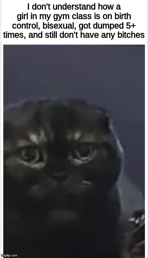 Debt Cat with Caption | I don't understand how a girl in my gym class is on birth control, bisexual, got dumped 5+ times, and still don't have any bitches | image tagged in debt cat with caption | made w/ Imgflip meme maker