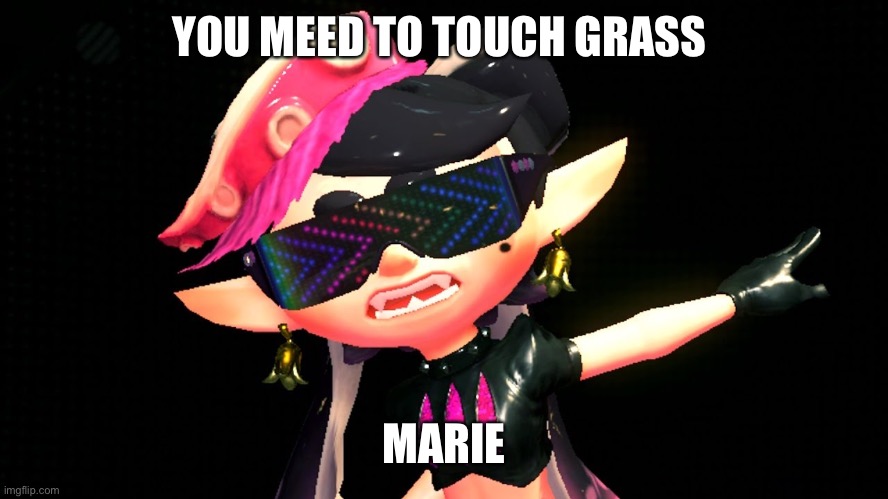 Callie boss fight | YOU MEED TO TOUCH GRASS MARIE | image tagged in callie boss fight | made w/ Imgflip meme maker