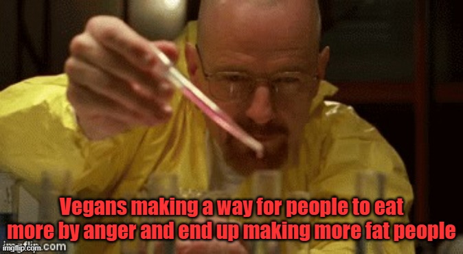 What I think some Vegans do | Vegans making a way for people to eat more by anger and end up making more fat people | image tagged in walter white cooking | made w/ Imgflip meme maker