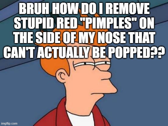 Futurama Fry | BRUH HOW DO I REMOVE STUPID RED "PIMPLES" ON THE SIDE OF MY NOSE THAT CAN'T ACTUALLY BE POPPED?? | image tagged in memes,futurama fry,help,i need somebody,not just anybody,why are you reading the tags | made w/ Imgflip meme maker
