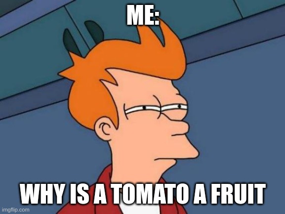 Futurama Fry Meme | ME:; WHY IS A TOMATO A FRUIT | image tagged in memes,futurama fry | made w/ Imgflip meme maker