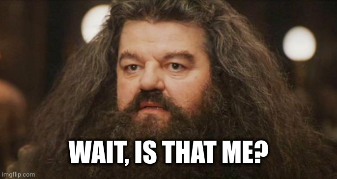 Hagrid | WAIT, IS THAT ME? | image tagged in hagrid | made w/ Imgflip meme maker