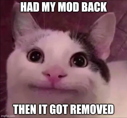 I believe I have been trolled | HAD MY MOD BACK; THEN IT GOT REMOVED | image tagged in awkward smile cat | made w/ Imgflip meme maker