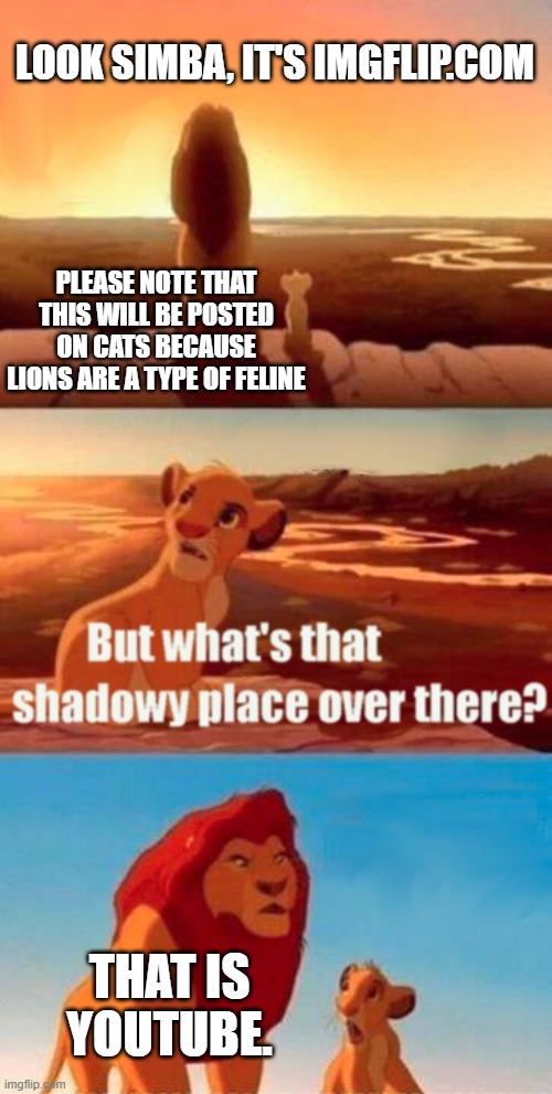 Simba Shadowy Place Meme | LOOK SIMBA, IT'S IMGFLIP.COM; PLEASE NOTE THAT THIS WILL BE POSTED ON CATS BECAUSE LIONS ARE A TYPE OF FELINE; THAT IS YOUTUBE. | image tagged in memes,simba shadowy place | made w/ Imgflip meme maker