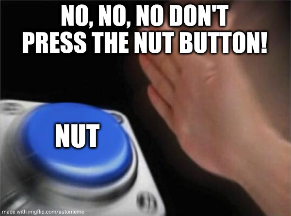 Blank Nut Button | NO, NO, NO DON'T PRESS THE NUT BUTTON! NUT | image tagged in memes,blank nut button | made w/ Imgflip meme maker