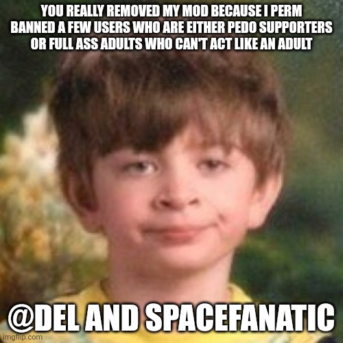 Like please, nobody would have wanted to deal with them nor even notice that they were gone | YOU REALLY REMOVED MY MOD BECAUSE I PERM BANNED A FEW USERS WHO ARE EITHER PEDO SUPPORTERS OR FULL ASS ADULTS WHO CAN'T ACT LIKE AN ADULT; @DEL AND SPACEFANATIC | image tagged in annoyed face | made w/ Imgflip meme maker