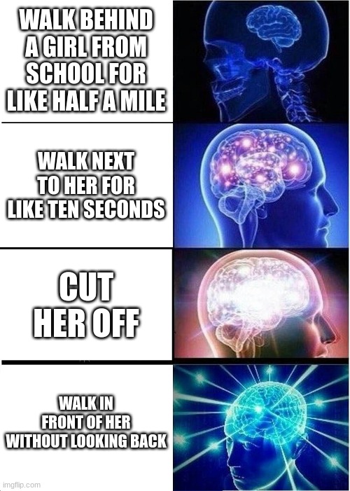 Sigma male move | WALK BEHIND A GIRL FROM SCHOOL FOR LIKE HALF A MILE; WALK NEXT TO HER FOR LIKE TEN SECONDS; CUT HER OFF; WALK IN FRONT OF HER WITHOUT LOOKING BACK | image tagged in memes,expanding brain,sigma,gigachad,w,just do it | made w/ Imgflip meme maker