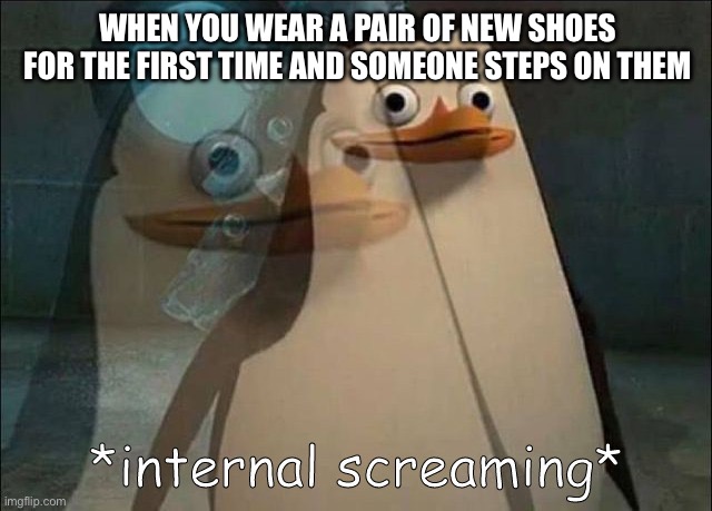 Don’t Step On My Shoes Pt 2 (First Had A Grammatical Error) | WHEN YOU WEAR A PAIR OF NEW SHOES FOR THE FIRST TIME AND SOMEONE STEPS ON THEM | image tagged in private internal screaming,new shoes,shoes,step on shoes,angry | made w/ Imgflip meme maker