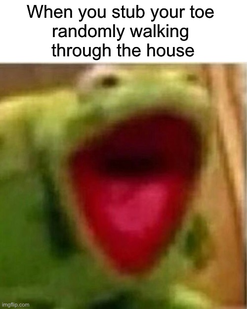 It’s true it happens | When you stub your toe 
randomly walking 
through the house | image tagged in ahhhhhhhhhhhhh,funny,memes,relatable | made w/ Imgflip meme maker
