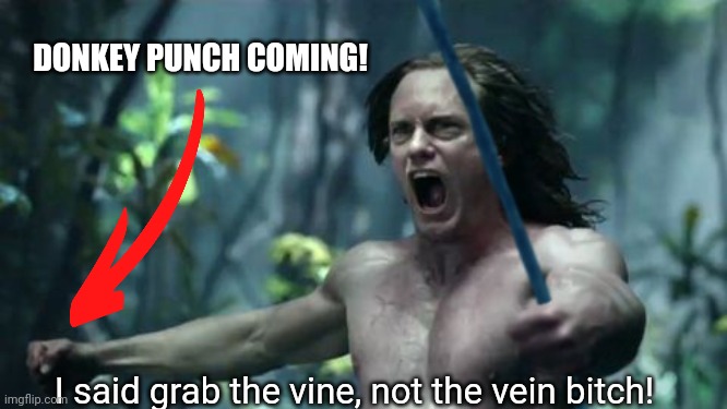 DONKEY PUNCH COMING! I said grab the vine, not the vein bitch! | made w/ Imgflip meme maker