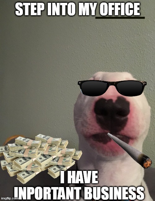 Walter the dog meme | STEP INTO MY OFFICE; I HAVE INPORTANT BUSINESS | image tagged in walter the dog meme | made w/ Imgflip meme maker