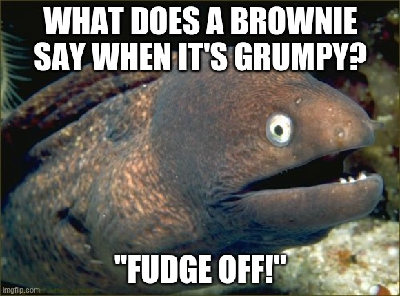 Talk about "bittersweet". | WHAT DOES A BROWNIE SAY WHEN IT'S GRUMPY? "FUDGE OFF!" | image tagged in memes,bad joke eel,brownies,dessert,food,grumpy | made w/ Imgflip meme maker
