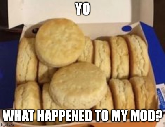 YO; WHAT HAPPENED TO MY MOD? | made w/ Imgflip meme maker