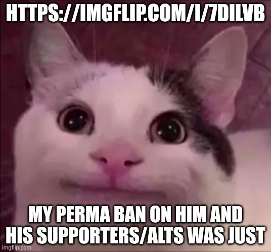 Bloody idiots | HTTPS://IMGFLIP.COM/I/7DILVB; MY PERMA BAN ON HIM AND HIS SUPPORTERS/ALTS WAS JUST | image tagged in awkward smile cat | made w/ Imgflip meme maker