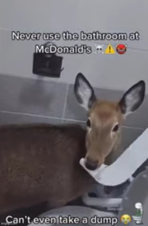 Deer, the deer is here | image tagged in memes,shitpost,msmg,oh wow are you actually reading these tags | made w/ Imgflip meme maker