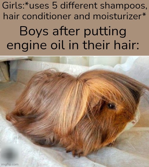 S m o o t h,  s o f t   h a i r | Girls:*uses 5 different shampoos, hair conditioner and moisturizer*; Boys after putting engine oil in their hair: | image tagged in hair,engine,oil,hamster,smooth,soft | made w/ Imgflip meme maker