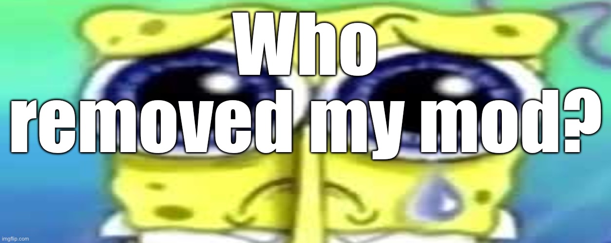 Sad Spong | Who removed my mod? | image tagged in sad spong | made w/ Imgflip meme maker