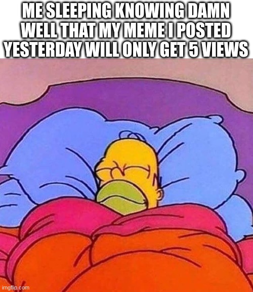 This how I feel every day | ME SLEEPING KNOWING DAMN WELL THAT MY MEME I POSTED YESTERDAY WILL ONLY GET 5 VIEWS | image tagged in homer simpson sleeping peacefully,views | made w/ Imgflip meme maker
