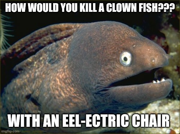 Eel-ectric chair | HOW WOULD YOU KILL A CLOWN FISH??? WITH AN EEL-ECTRIC CHAIR | image tagged in memes,bad joke eel | made w/ Imgflip meme maker