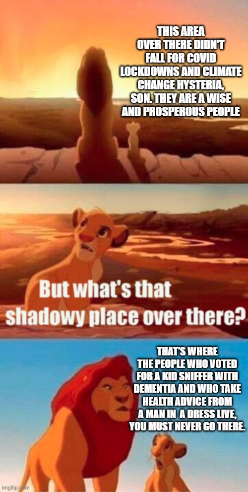 Simba Shadowy Place | THIS AREA OVER THERE DIDN'T FALL FOR COVID LOCKDOWNS AND CLIMATE CHANGE HYSTERIA, SON. THEY ARE A WISE AND PROSPEROUS PEOPLE; THAT'S WHERE THE PEOPLE WHO VOTED FOR A KID SNIFFER WITH DEMENTIA AND WHO TAKE HEALTH ADVICE FROM A MAN IN  A DRESS LIVE, YOU MUST NEVER GO THERE. | image tagged in memes,simba shadowy place | made w/ Imgflip meme maker