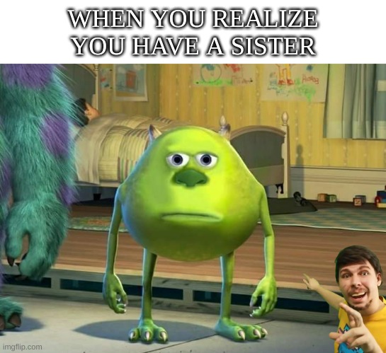 oh dear, help me... | WHEN YOU REALIZE YOU HAVE A SISTER | image tagged in mike wazowski bruh | made w/ Imgflip meme maker