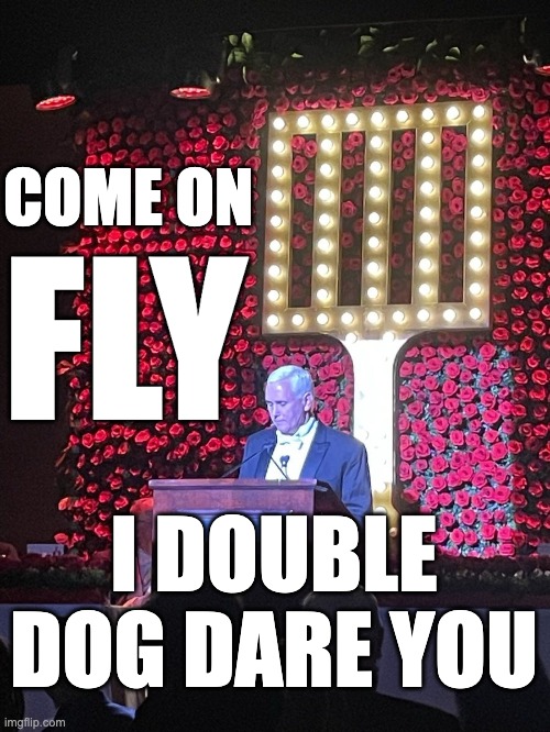 Flyswatter | COME ON; FLY; I DOUBLE DOG DARE YOU | image tagged in pence,fly,flyswatter,mike pence | made w/ Imgflip meme maker