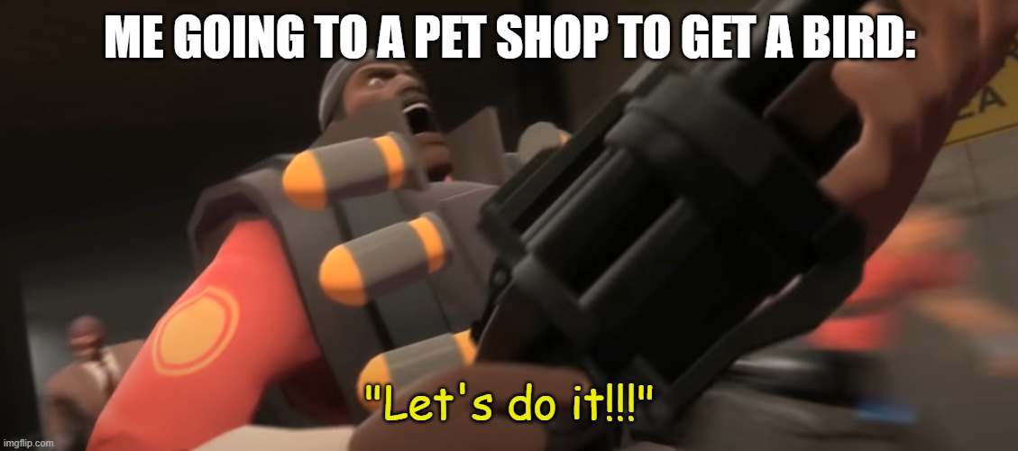 Let's do it!!! | ME GOING TO A PET SHOP TO GET A BIRD: | image tagged in let's do it | made w/ Imgflip meme maker