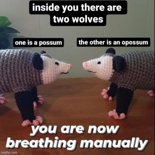 Inside you there are two opossums | image tagged in inside you there are two opossums | made w/ Imgflip meme maker