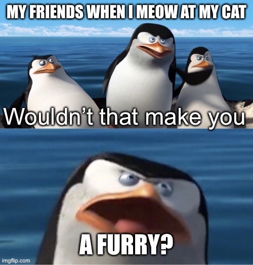 I meow at my cat to get his attention | MY FRIENDS WHEN I MEOW AT MY CAT; A FURRY? | image tagged in wouldn t that make you,a,furry | made w/ Imgflip meme maker