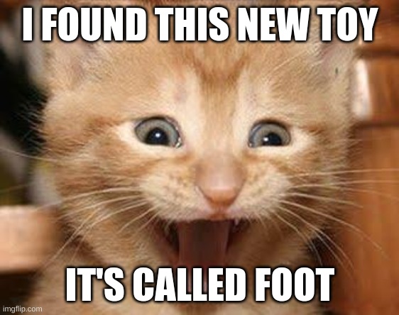 Excited Cat |  I FOUND THIS NEW TOY; IT'S CALLED FOOT | image tagged in memes,excited cat | made w/ Imgflip meme maker