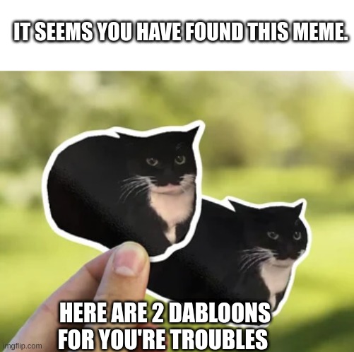 2 dabloons | IT SEEMS YOU HAVE FOUND THIS MEME. HERE ARE 2 DABLOONS FOR YOU'RE TROUBLES | image tagged in meme,fun,gif,cat | made w/ Imgflip meme maker