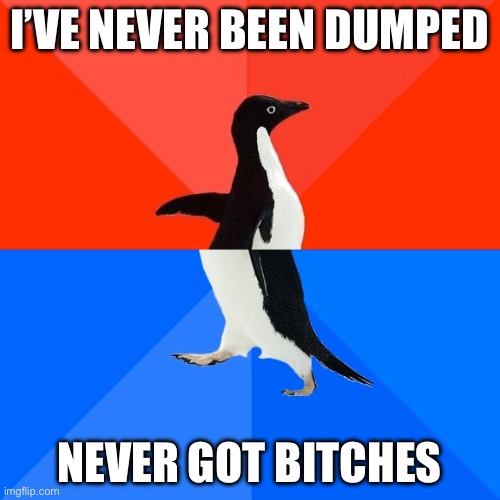 Meme#273 | I’VE NEVER BEEN DUMPED; NEVER GOT BITCHES | image tagged in memes,socially awesome awkward penguin | made w/ Imgflip meme maker