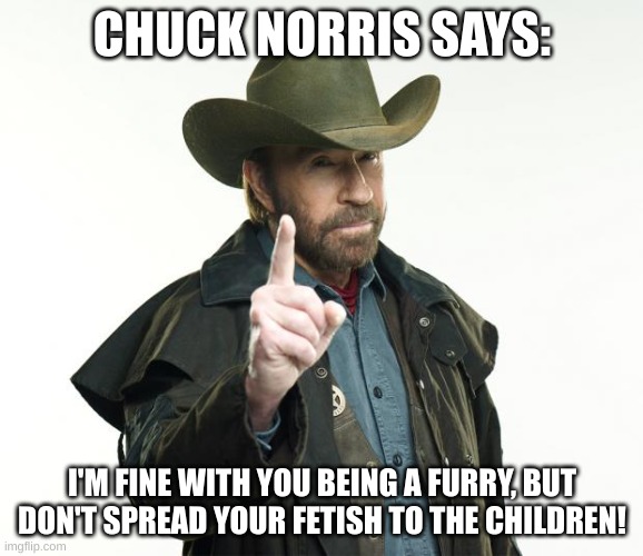 Whos chucky norris? | CHUCK NORRIS SAYS:; I'M FINE WITH YOU BEING A FURRY, BUT DON'T SPREAD YOUR FETISH TO THE CHILDREN! | image tagged in memes,chuck norris finger,chuck norris | made w/ Imgflip meme maker