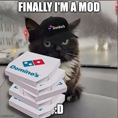 Dominos Cat | FINALLY I'M A MOD; :D | image tagged in dominos cat | made w/ Imgflip meme maker