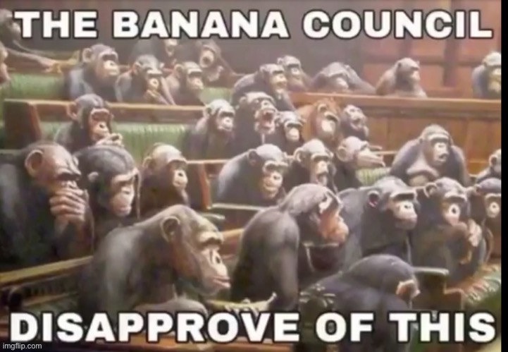Post above | image tagged in the banana council disapproves of this | made w/ Imgflip meme maker