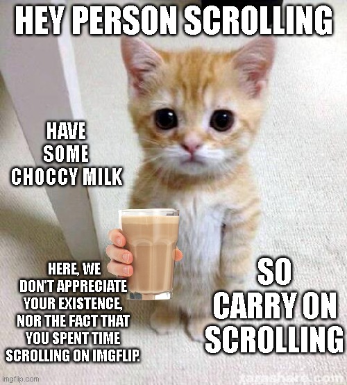 very true (joke mods don't flag) | HEY PERSON SCROLLING; HAVE SOME CHOCCY MILK; SO CARRY ON SCROLLING; HERE, WE DON'T APPRECIATE YOUR EXISTENCE, NOR THE FACT THAT YOU SPENT TIME SCROLLING ON IMGFLIP. | image tagged in memes,cute cat,funny,jokes,choccy milk,carry on | made w/ Imgflip meme maker