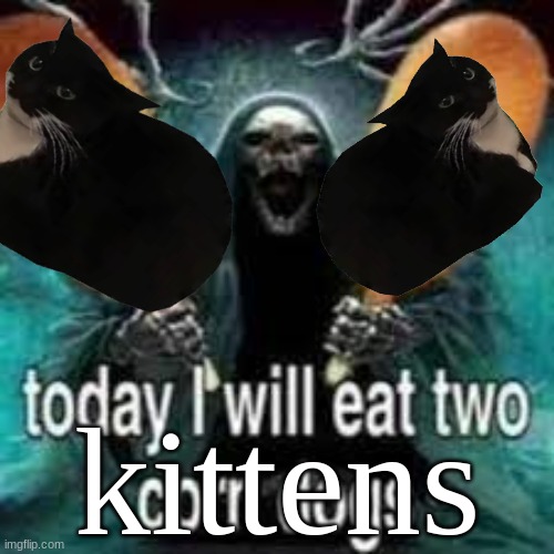 TODAY... I WILL EAT TWO CORN DOGS!!! | kittens | image tagged in today i will eat two corn dogs | made w/ Imgflip meme maker