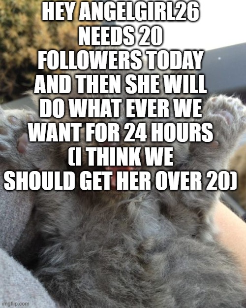 Yay Kitty | HEY ANGELGIRL26 NEEDS 20 FOLLOWERS TODAY AND THEN SHE WILL DO WHAT EVER WE WANT FOR 24 HOURS (I THINK WE SHOULD GET HER OVER 20) | image tagged in yay kitty | made w/ Imgflip meme maker