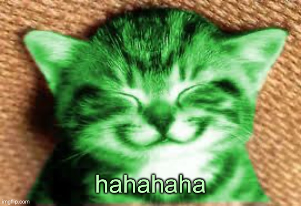 happy RayCat | hahahaha | image tagged in happy raycat | made w/ Imgflip meme maker