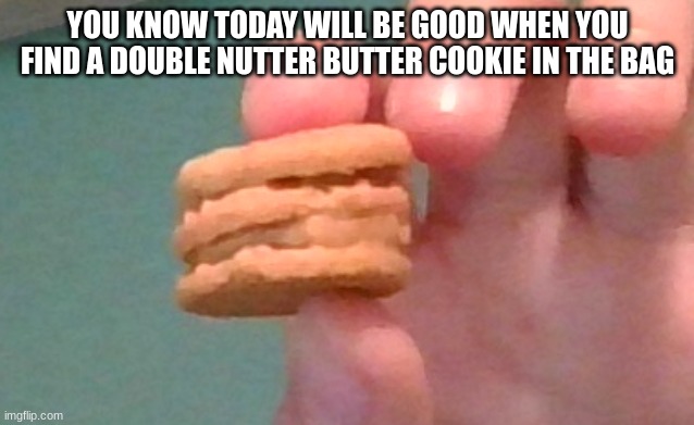 I actually found this | YOU KNOW TODAY WILL BE GOOD WHEN YOU FIND A DOUBLE NUTTER BUTTER COOKIE IN THE BAG | image tagged in nutter butter | made w/ Imgflip meme maker