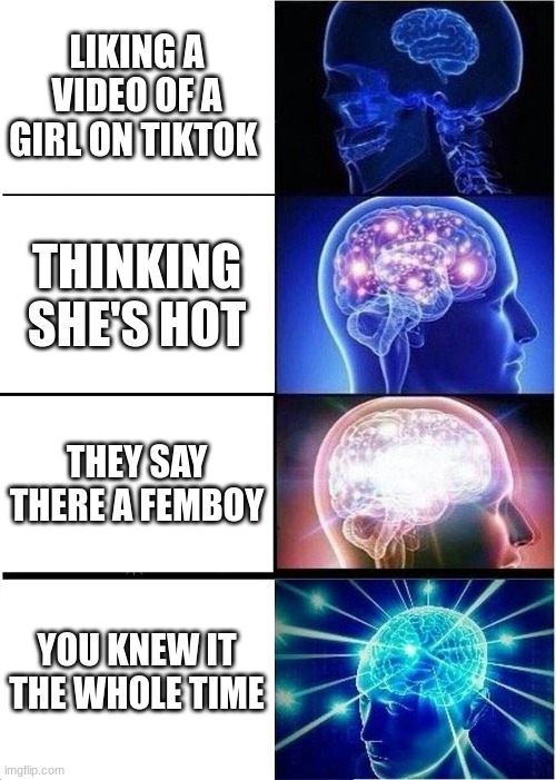 Expanding Brain | LIKING A VIDEO OF A GIRL ON TIKTOK; THINKING SHE'S HOT; THEY SAY THERE A FEMBOY; YOU KNEW IT THE WHOLE TIME | image tagged in memes,expanding brain | made w/ Imgflip meme maker